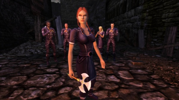 Dungeons & Dragons Online: Shadowfell Conspiracy Collector's Edition screenshot 3