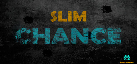 Slim Chance Cover Image