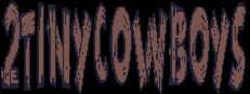 2tinycowboys