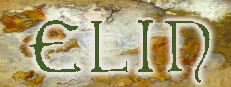 Elin Banner