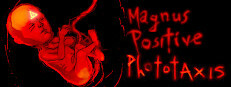 Magnus Positive Phototaxis
