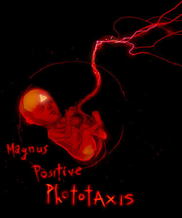 Magnus Positive Phototaxis