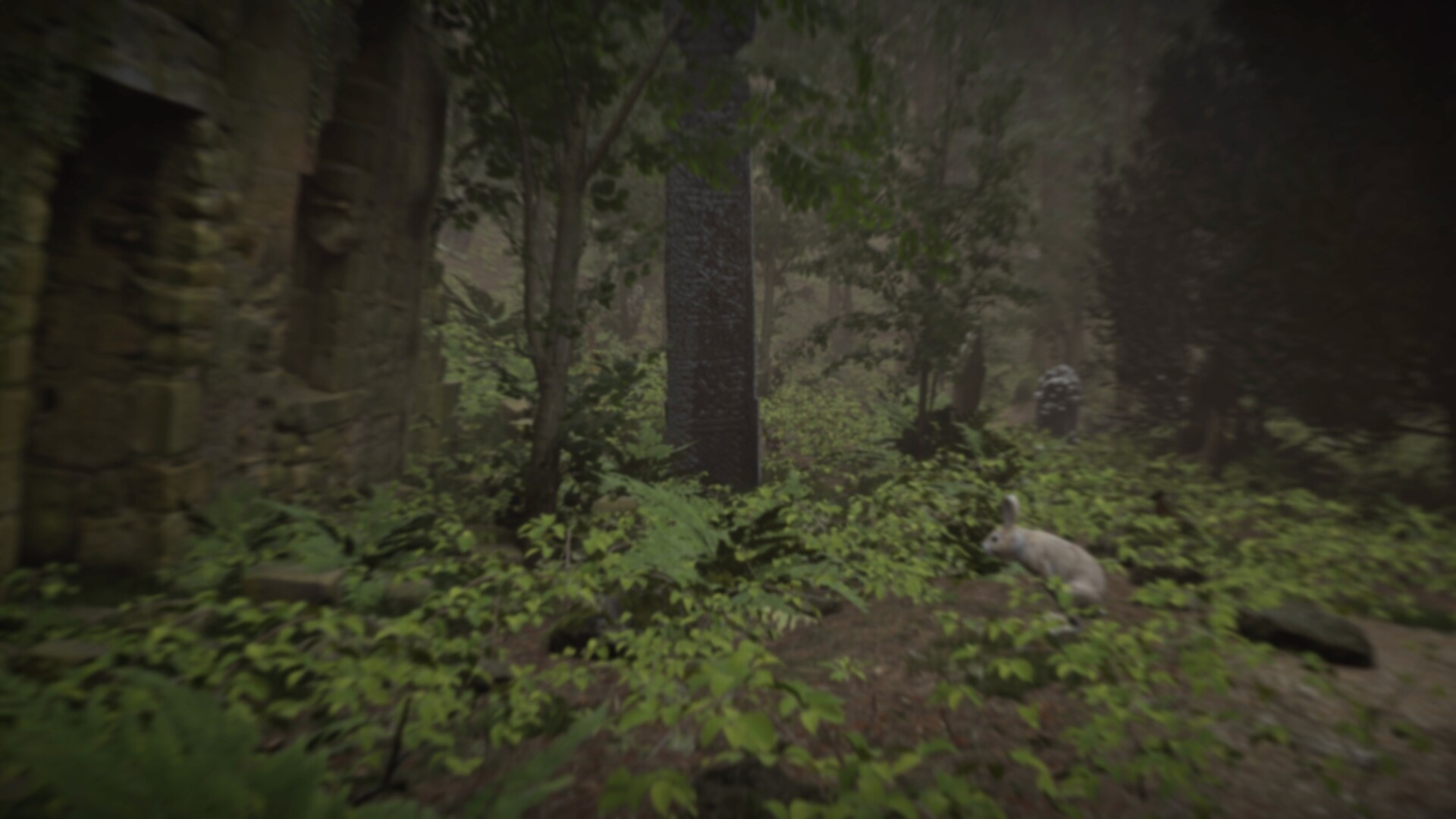 FIRE The First Dreamer screenshot 7