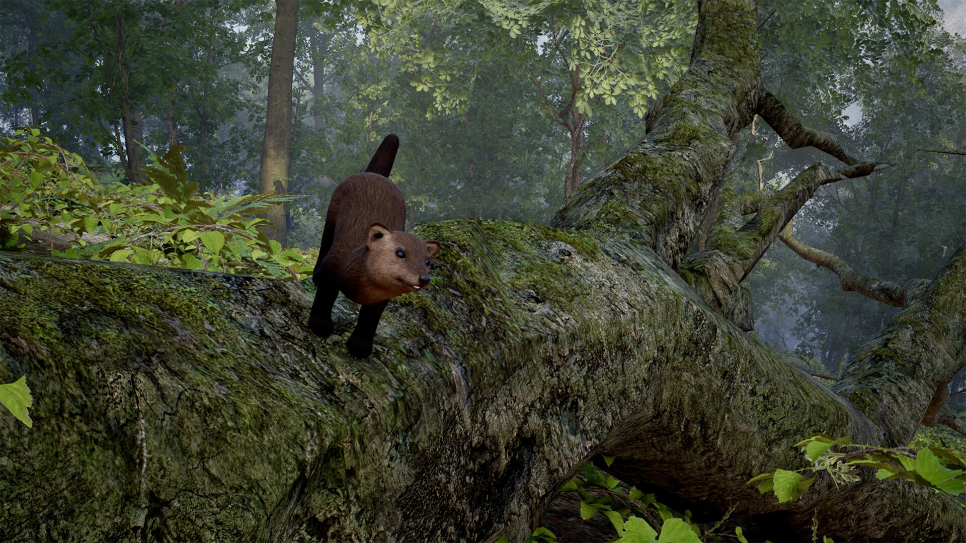 FIRE The First Dreamer screenshot #30