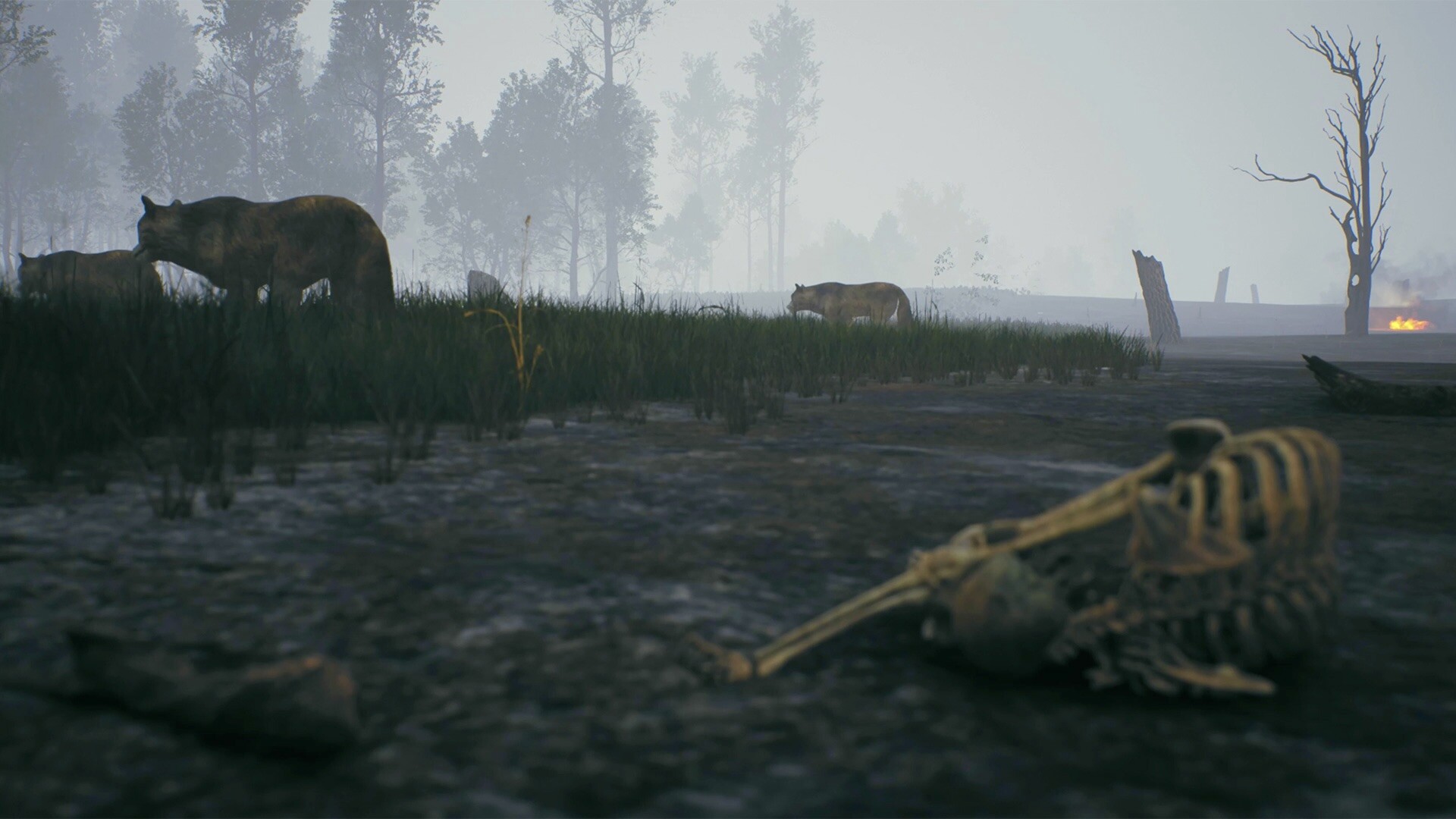 FIRE The First Dreamer screenshot #11