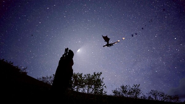 FIRE The First Dreamer screenshot 4