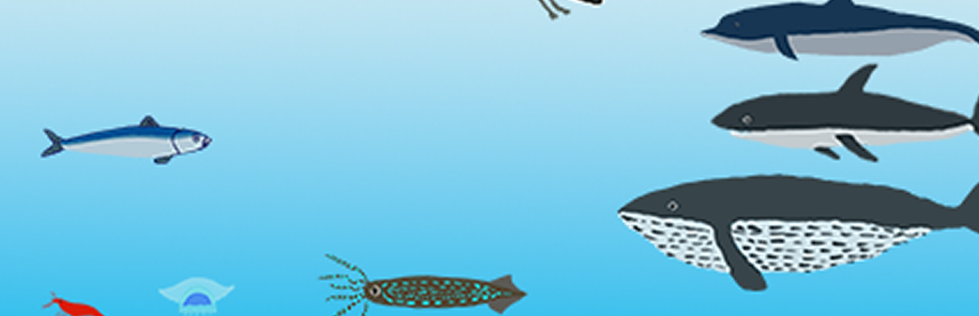 I'm a sardine Keita