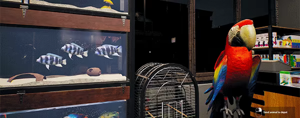 Exotica: Petshop Simulator video 4