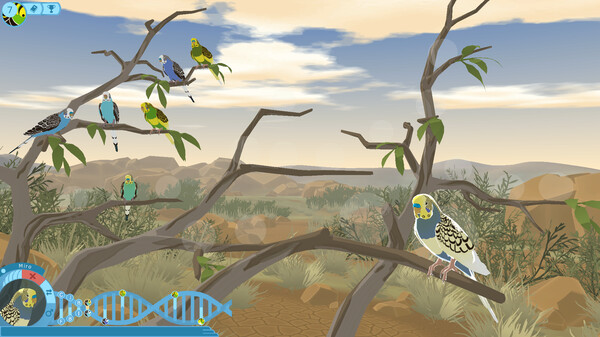 Screenshot z Budgie Genetics Simulator