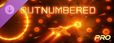 Outnumbered - Pro Edition cover art