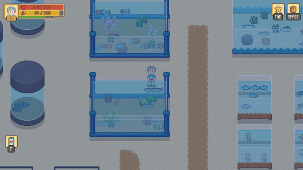 Ninano: Dream Ranch.