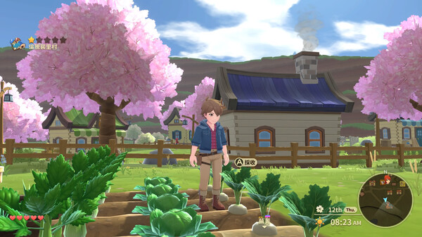 Harvest Moon: The Winds of Anthos 截图 1