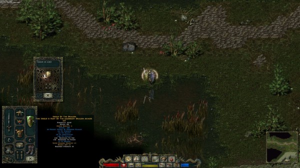 Divine Divinity-游戏截图