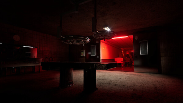 Backrooms: Escape Together.