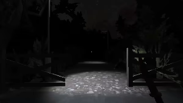 Convenient video 4