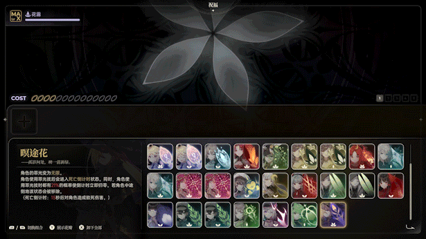 梦灯花 Noctuary 梦灯花 Noctuary