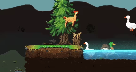 Llama the Farm Drama video 1