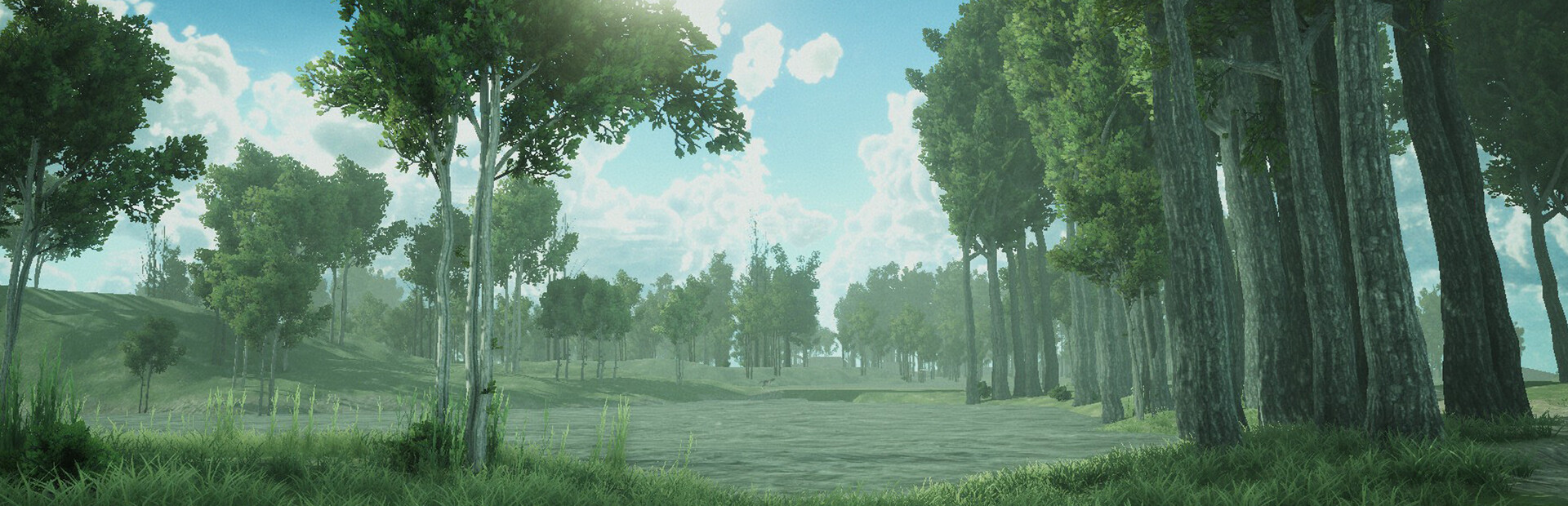 Forest Spring