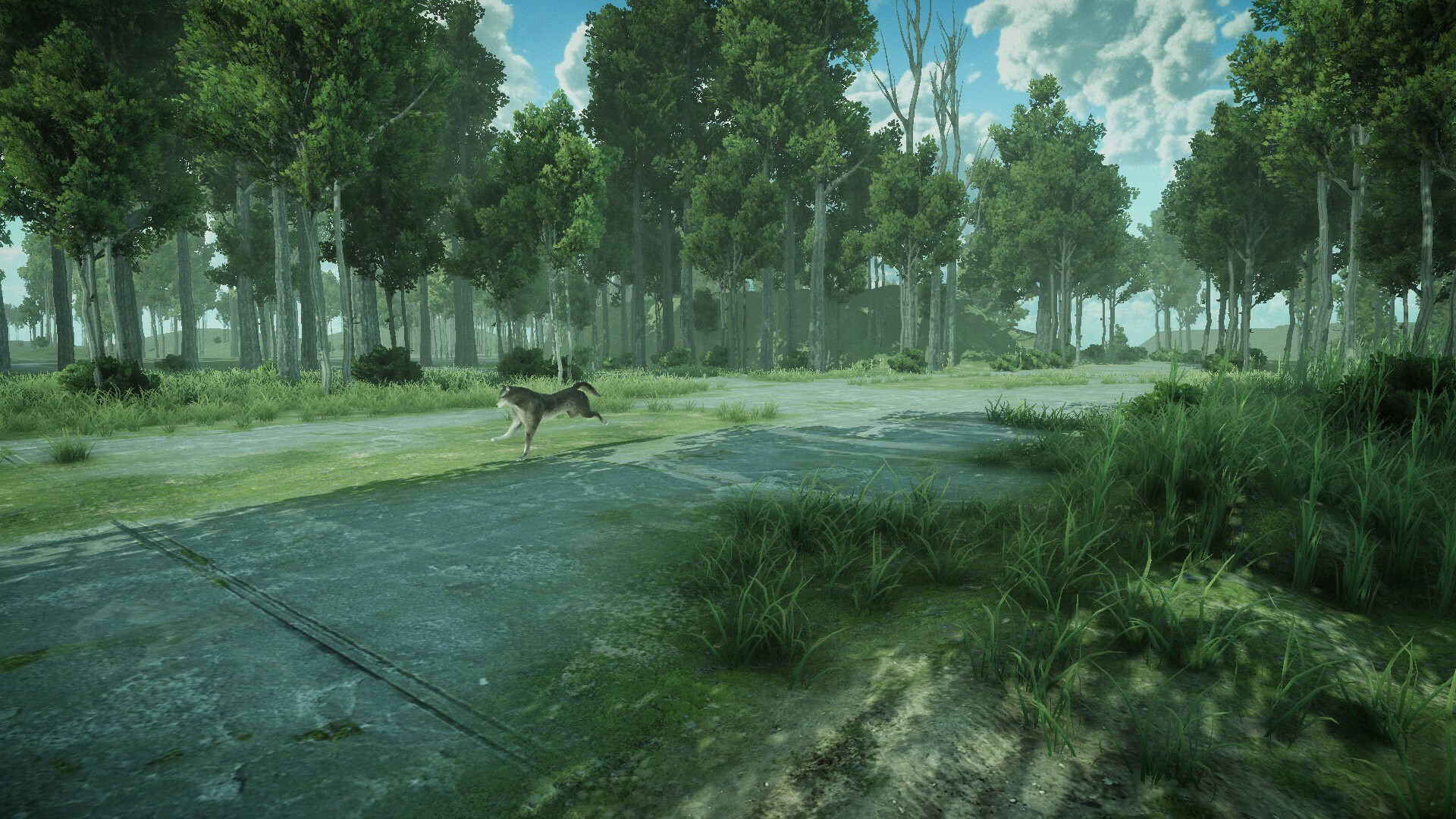 Forest Spring screenshot 6
