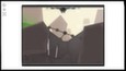 Screenshot #6