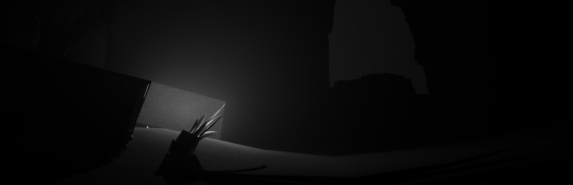 Insomnia