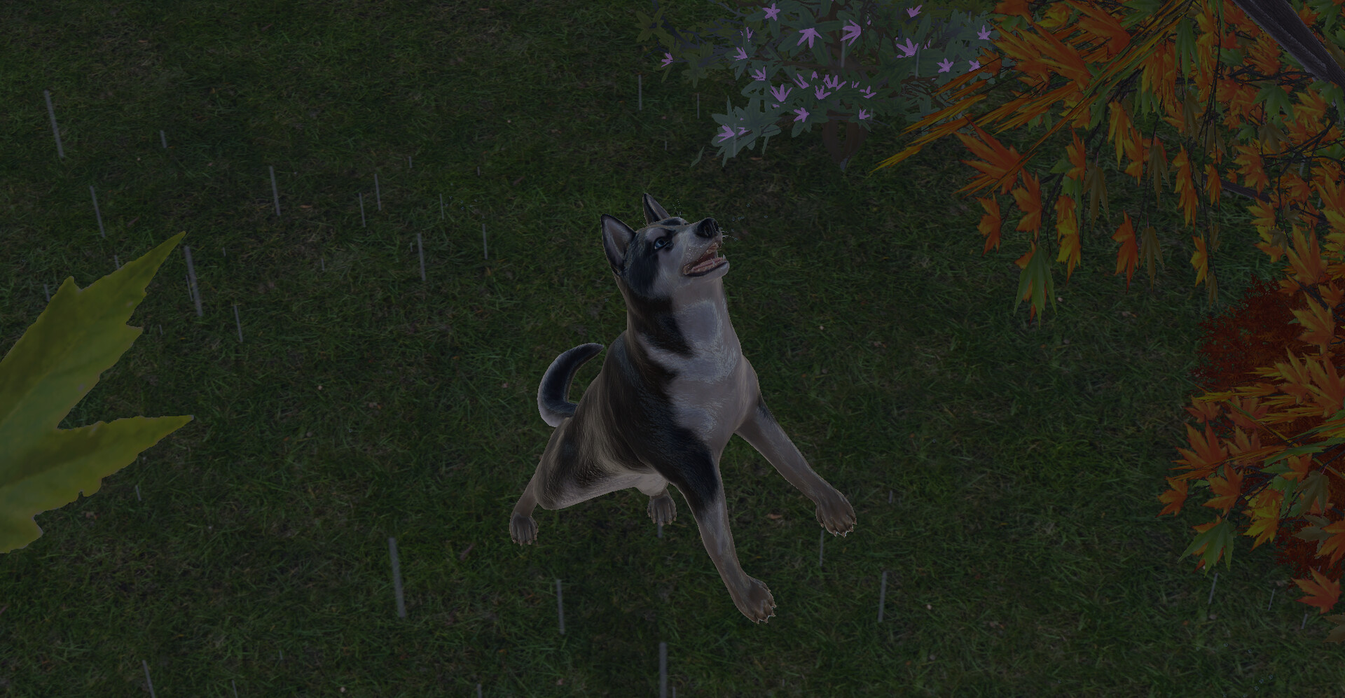 Pets Hotel: Prologue screenshot 20