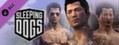 DLC - Sleeping Dogs: Gangland Style Pack capsule image