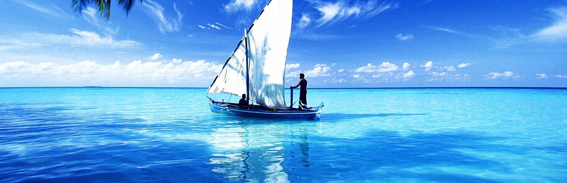 Virtual Sailor NG