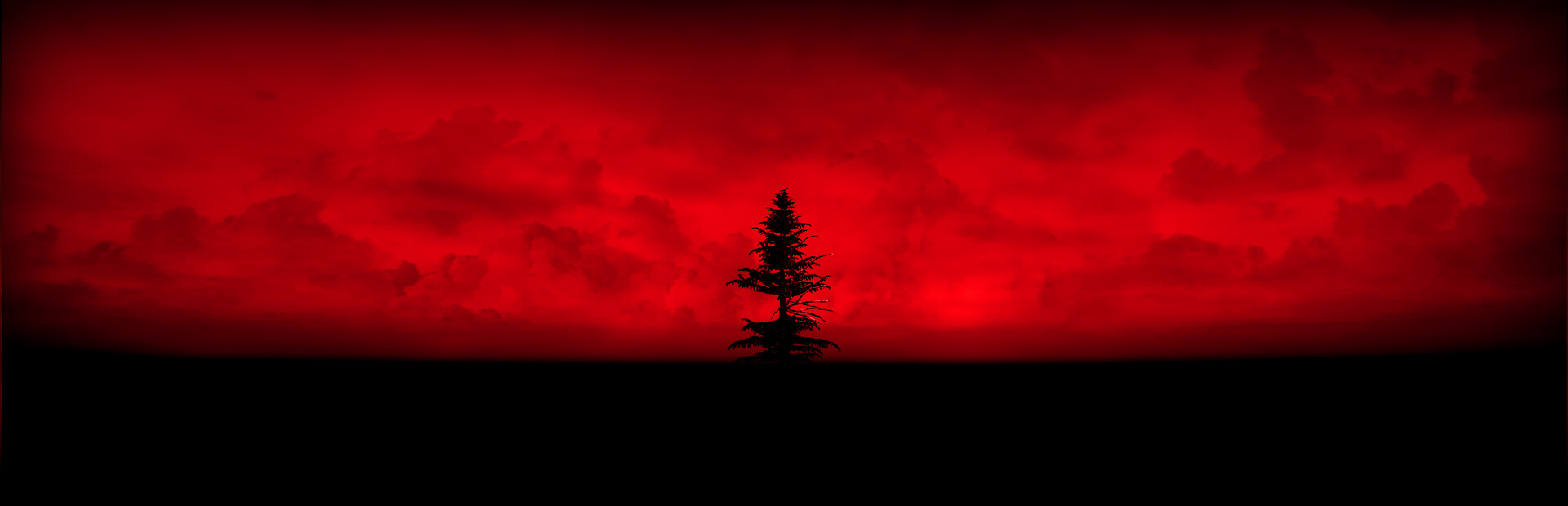 Angels Bleeding