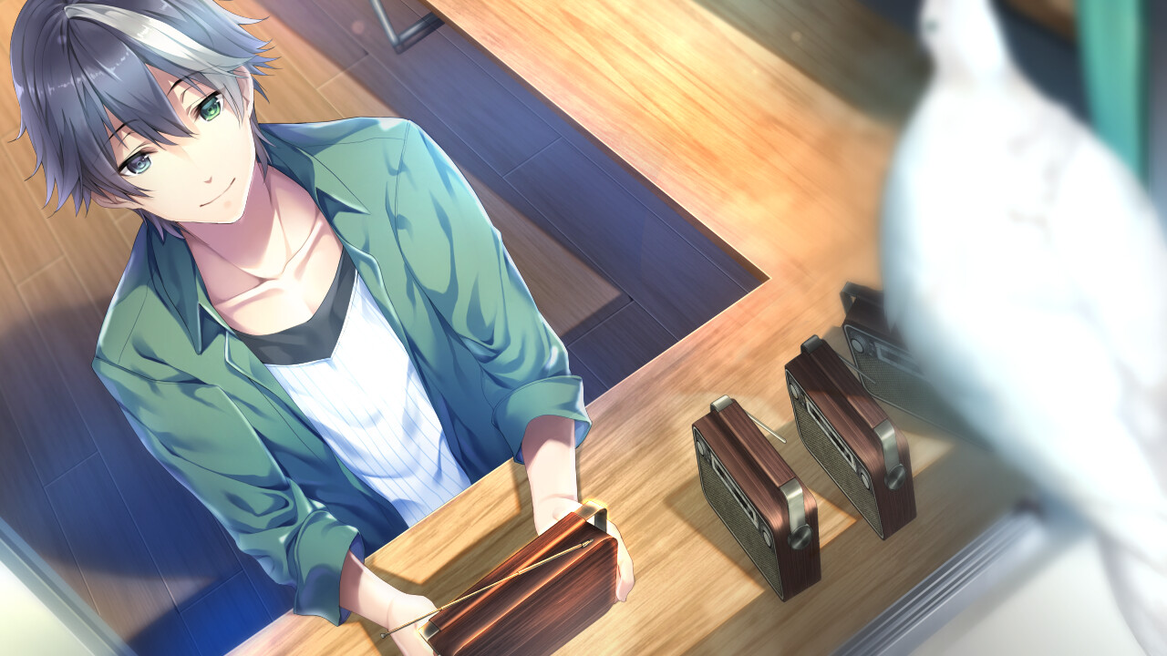 The Future Radio and the Artificial Pigeons