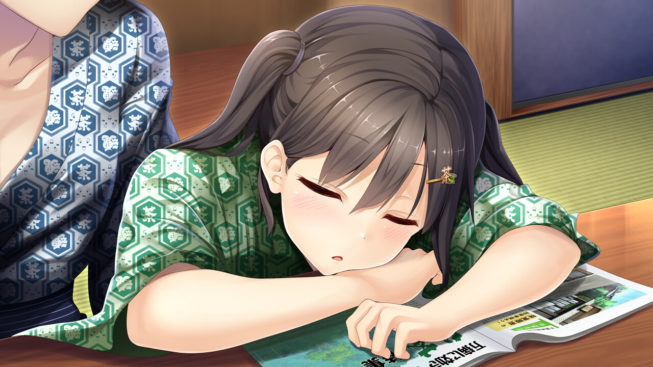 The Future Radio and the Artificial Pigeons