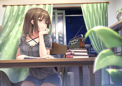 The Future Radio and the Artificial Pigeons.