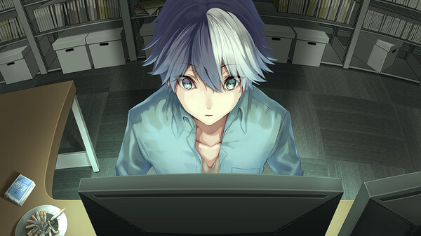 The Future Radio and the Artificial Pigeons.