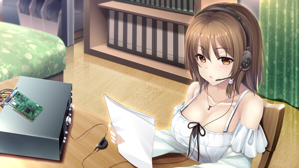 The Future Radio and the Artificial Pigeons.