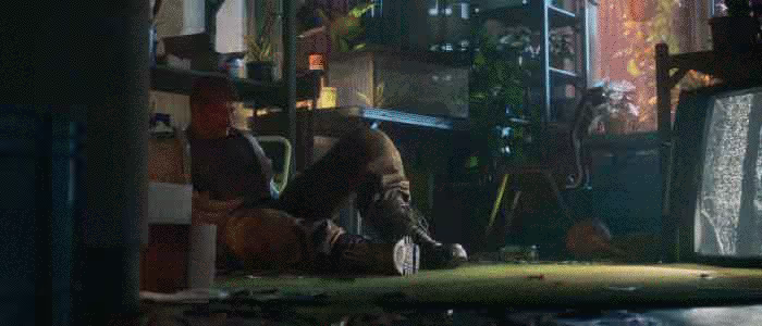 NO LAW video 2