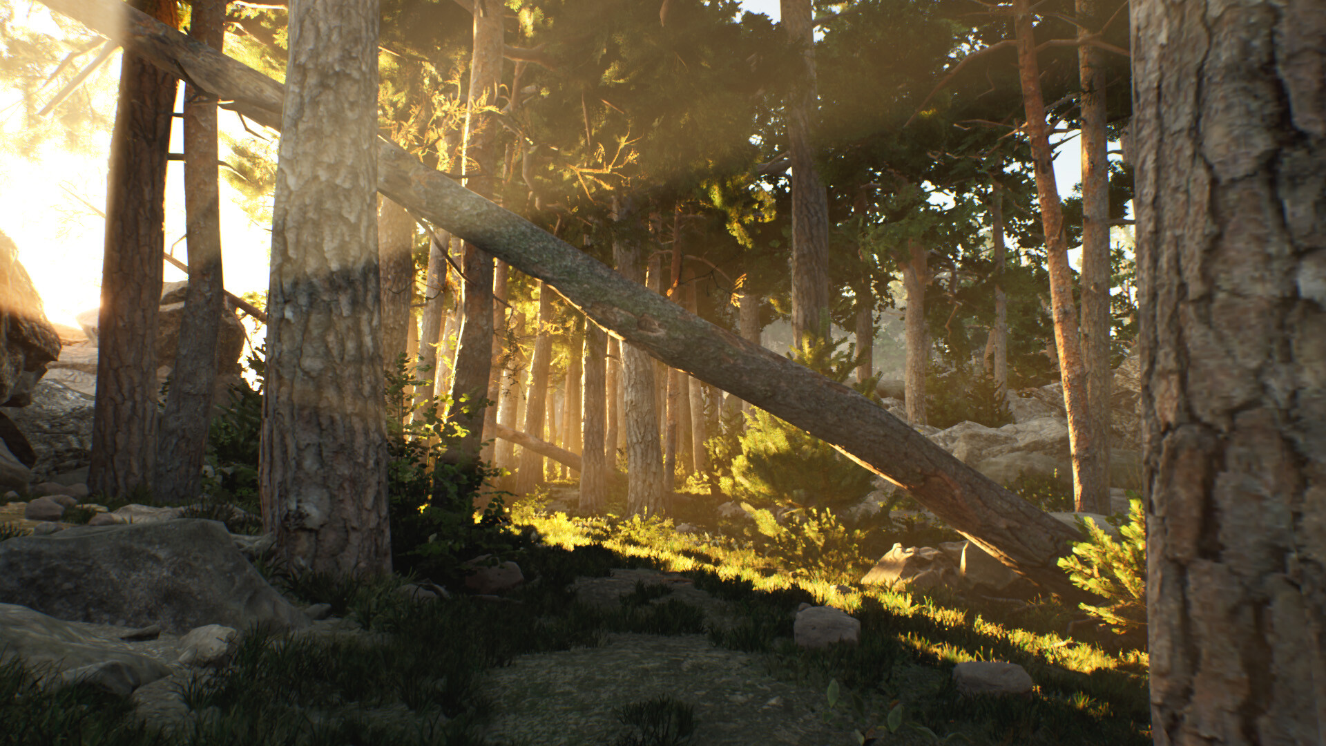 #8. The Archipelago Promise (Steam) 由: Breda University of Applied Sciences