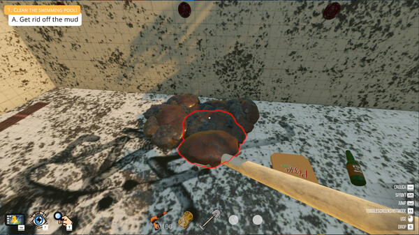 Pool Cleaning Simulator.