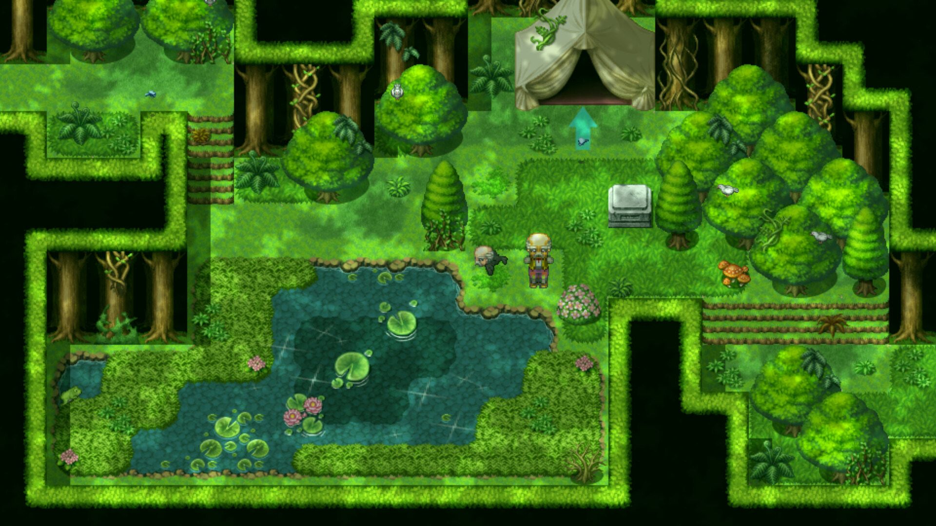 The Senex Bird Featured Screenshot #1
