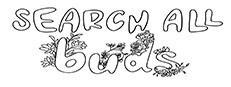 SEARCH ALL - BUDS