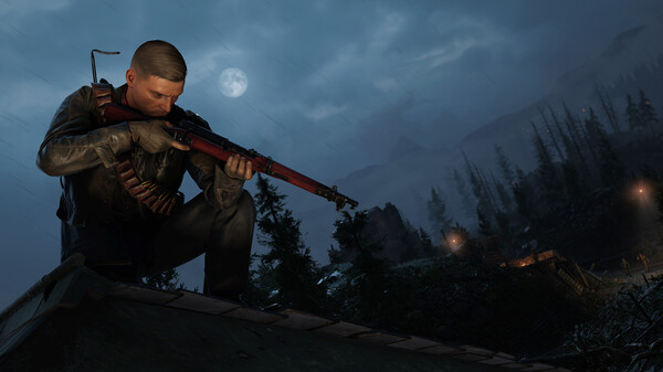 Full Size Image