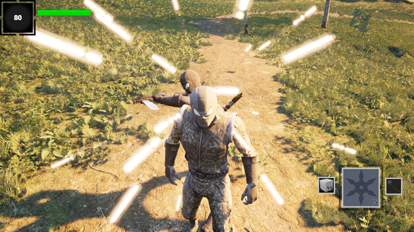 Screenshot z Epic Ninja