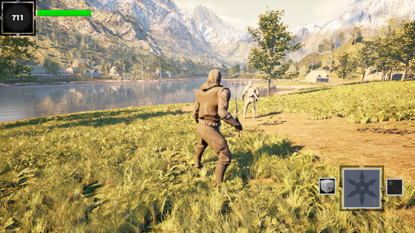 Screenshot z Epic Ninja