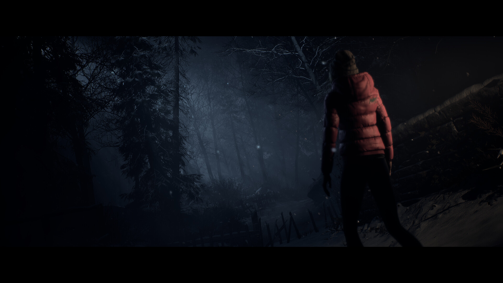 Until Dawn™ screenshot 8