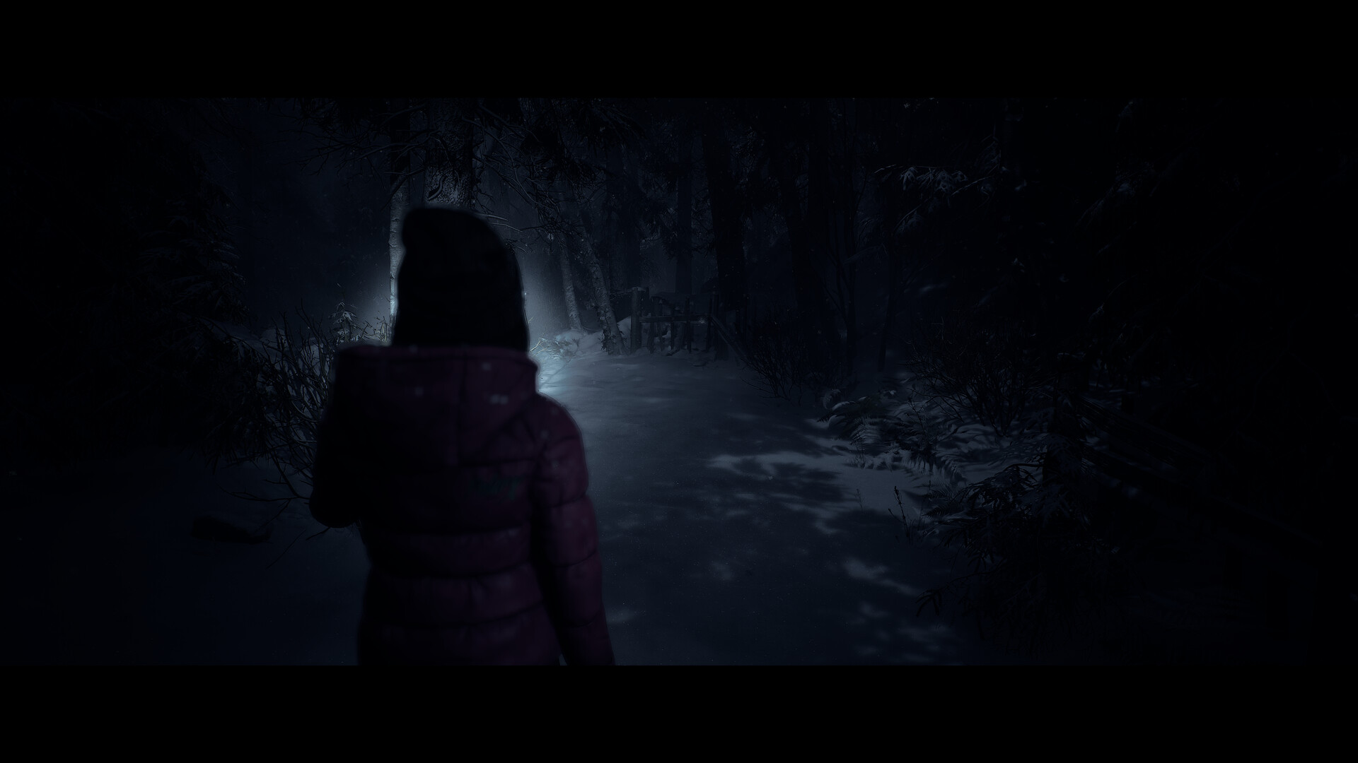 Until Dawn™