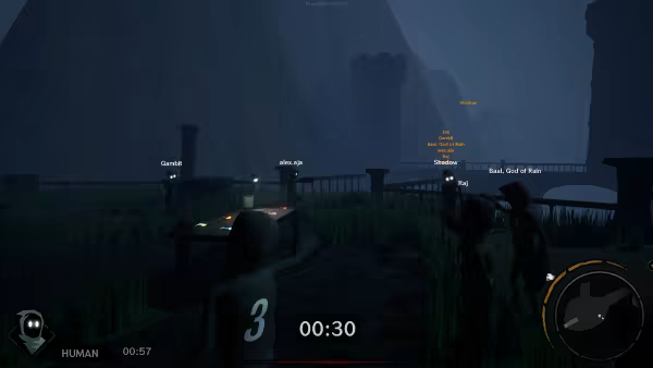 Иллюстрация из описания игры Sincognito
