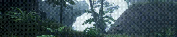 Primitive video 3