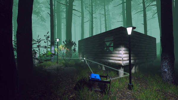 Odd Woods