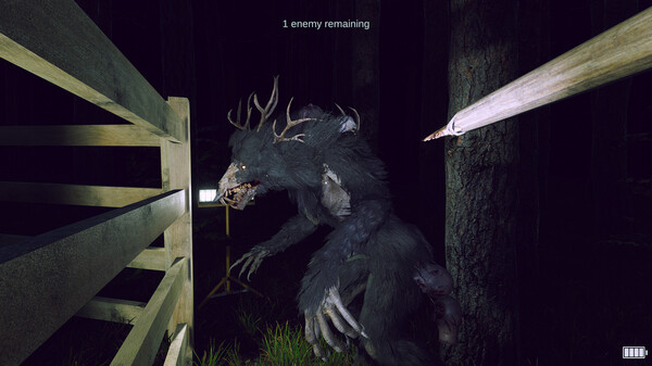 Odd Woods