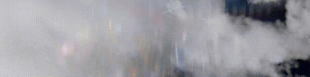Dominance video 8