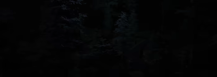 Mantra video 1